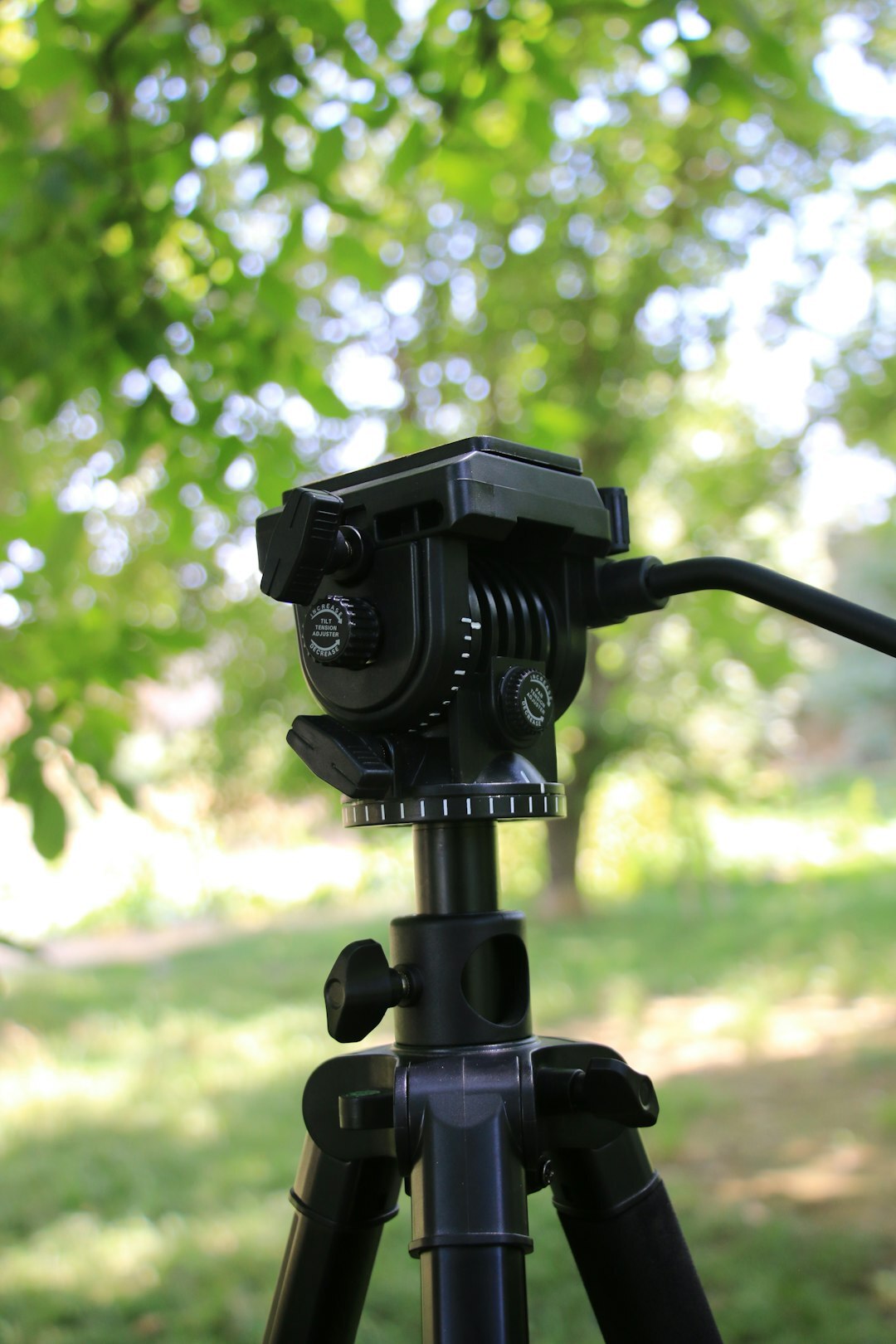camera on tripod outdoors