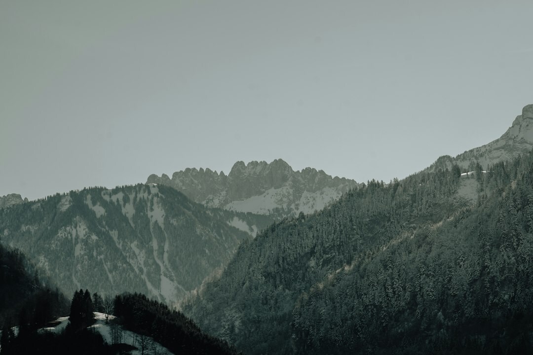 Portrait of a Swiss cinematography teacher and workshop instructor